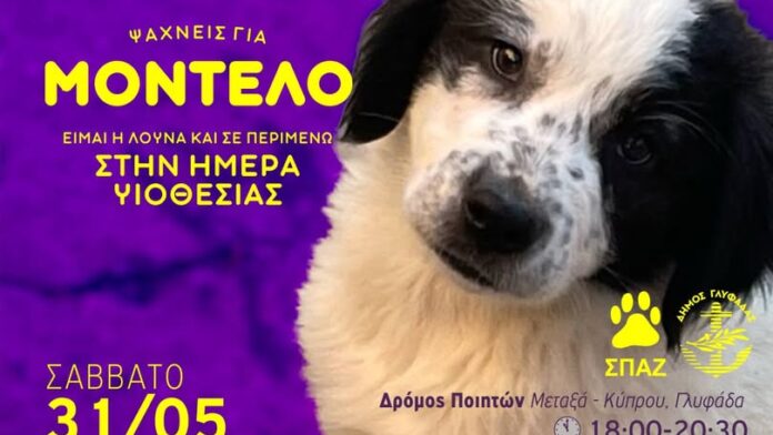 Δήμος Γλυφάδας: Ημέρα υιοθεσίας του ΣΠΑΖ το Σάββατο 31 Μαΐου