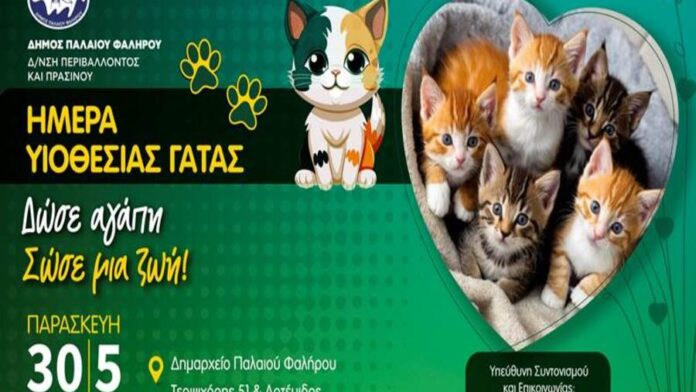 Μεγάλη γιορτή υιοθεσίας αδέσποτων γάτων στο Παλαιό Φάληρο
