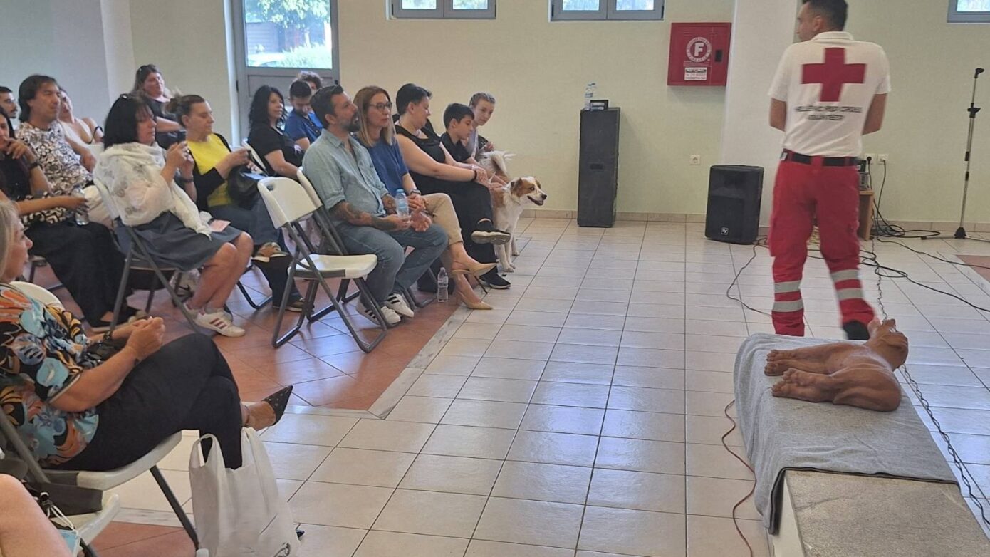 Δήμος Δάφνης Υμηττού: Πρωτοβουλία ευαισθητοποίησης & προστασίας από το Τμήμα Φιλοζωίας