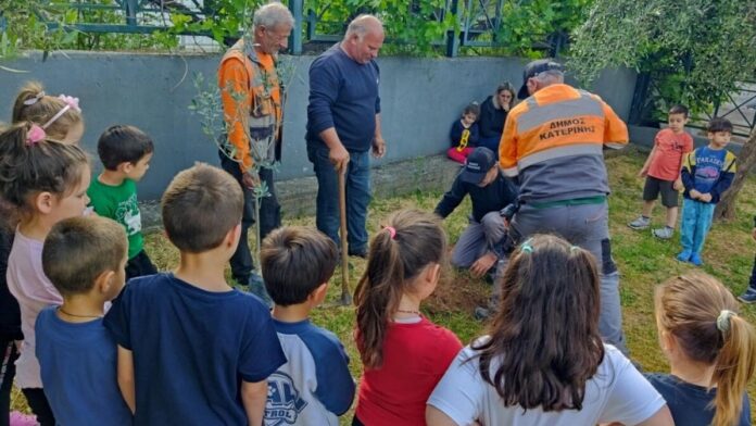 Δενδροφυτεύσεις & φυτεύσεις εποχικών λουλουδιών από τον Δήμο Κατερίνης