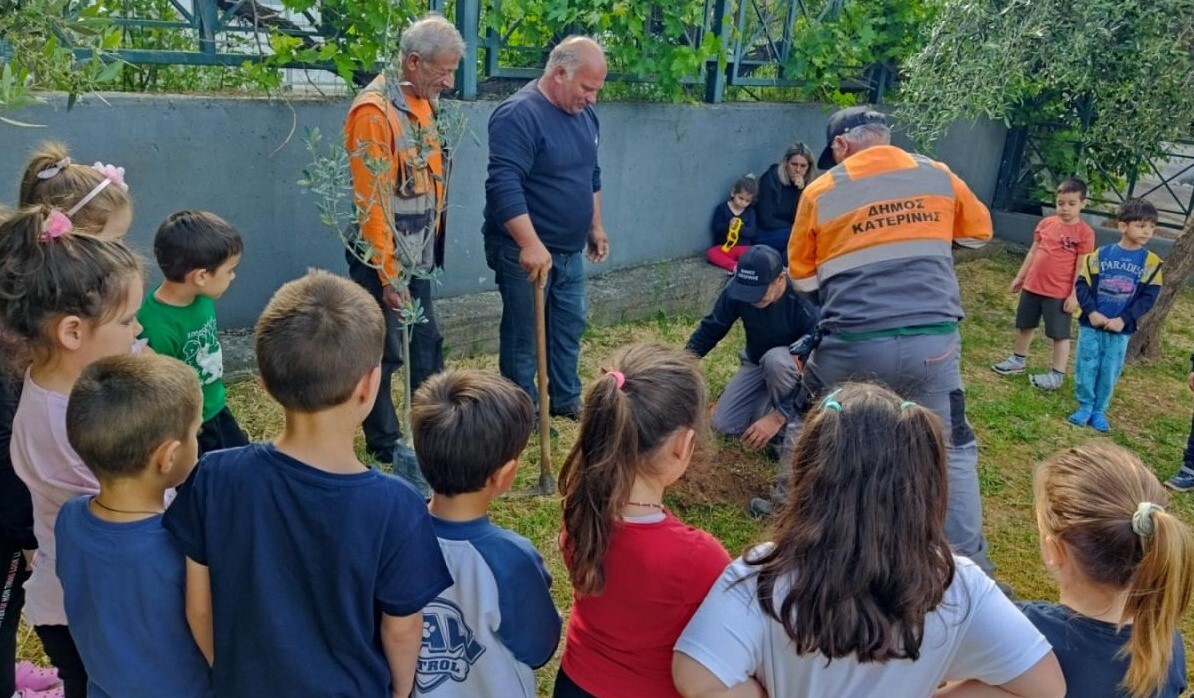Δενδροφυτεύσεις & φυτεύσεις εποχικών λουλουδιών από τον Δήμο Κατερίνης