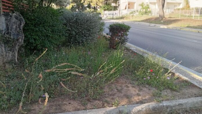 Δήμος Κηφισιάς: Πρωτοβουλία για άνετα και προσβάσιμα πεζοδρόμια