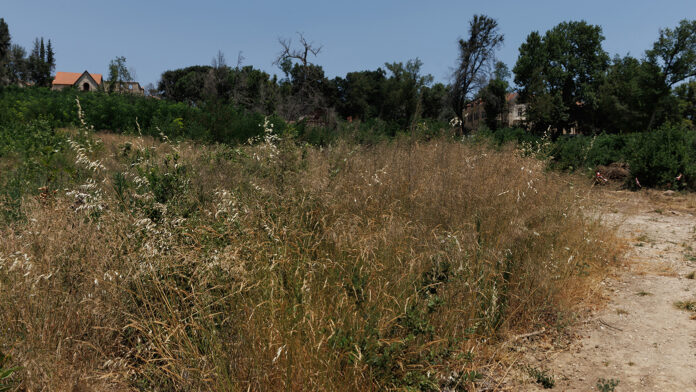 Έρχεται αυστηρή ρύθμιση με πρόστιμα για δήμους που αδιαφορούν στον καθαρισμό των οικοπέδων