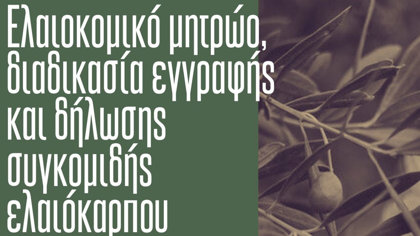 Δ.Ωρωπού: Σημαντική Ημερίδα για το Ελαιοκομικό Μητρώο