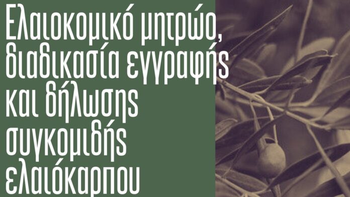 Δ.Ωρωπού: Σημαντική Ημερίδα για το Ελαιοκομικό Μητρώο