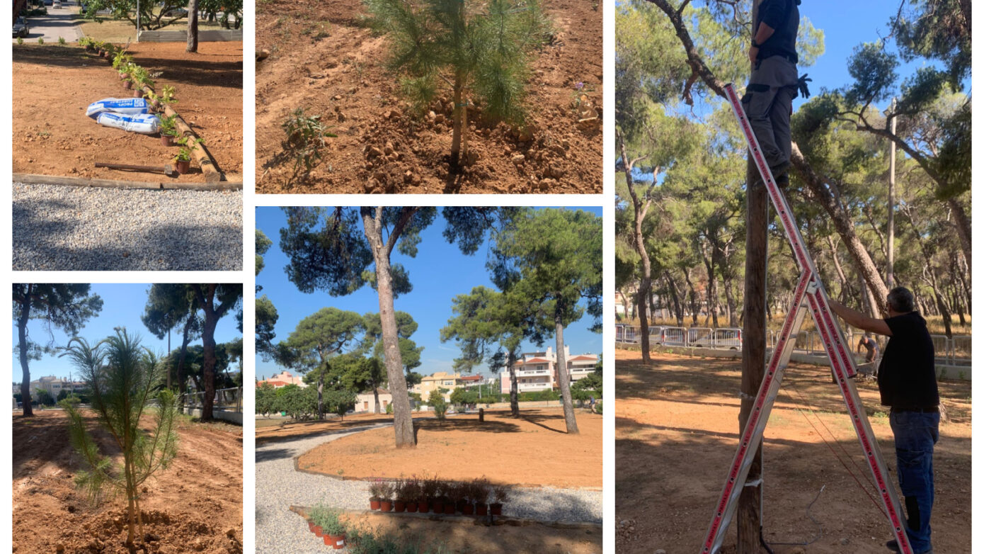 Εντυπωσιακό πράσινο στολίδι στο Ηλιακό Χωριό του Δήμου Λυκόβρυσης-Πεύκης