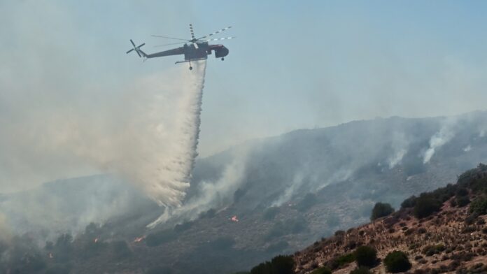 Υπό έλεγχο η πυρκαγιά στην Παλαιά Φώκαια – Σε εγρήγορση για πιθανές αναζωπυρώσεις