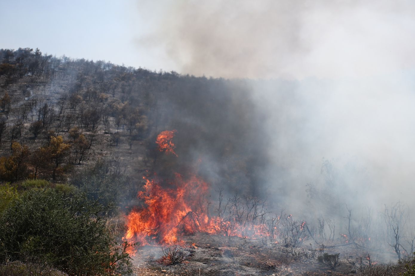 Μεγάλη φωτιά μαίνεται στην Υλίκη Θηβών