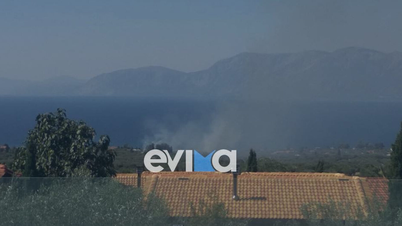 Φωτιά κοντά σε κτήμα δεξιώσεων στην περιοχή Λουκίσσια Εύβοιας