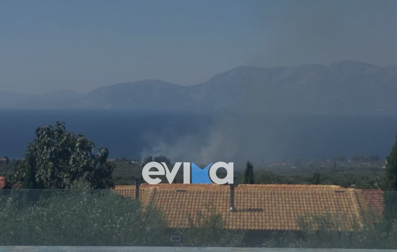 Φωτιά κοντά σε κτήμα δεξιώσεων στην περιοχή Λουκίσσια Εύβοιας