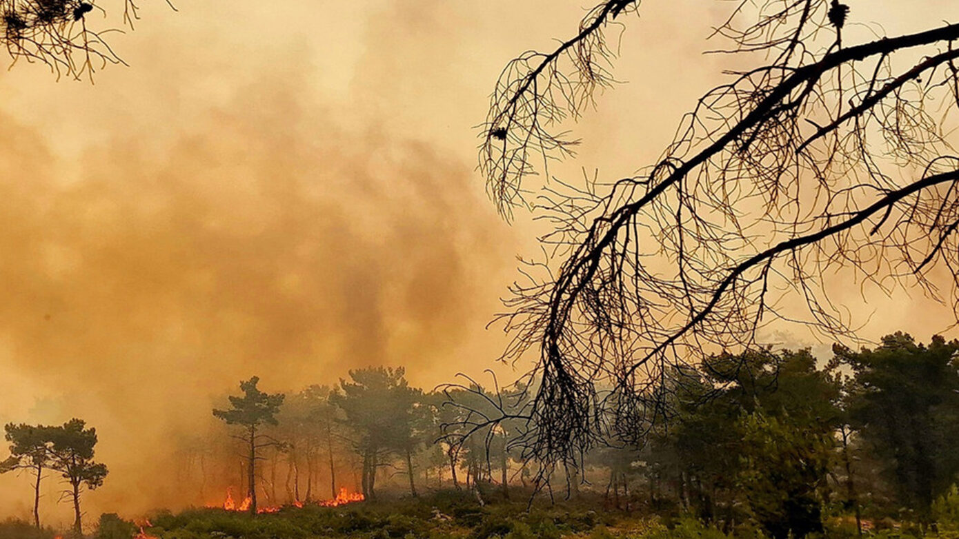 Μαίνεται για δεύτερο 24ωρο η Χίος: Πέντε τα ενεργά μέτωπα, απειλούν τα Μαστιχοχώρια οι φλόγες – Σε κατάσταση έκτακτης ανάγκης το νησί