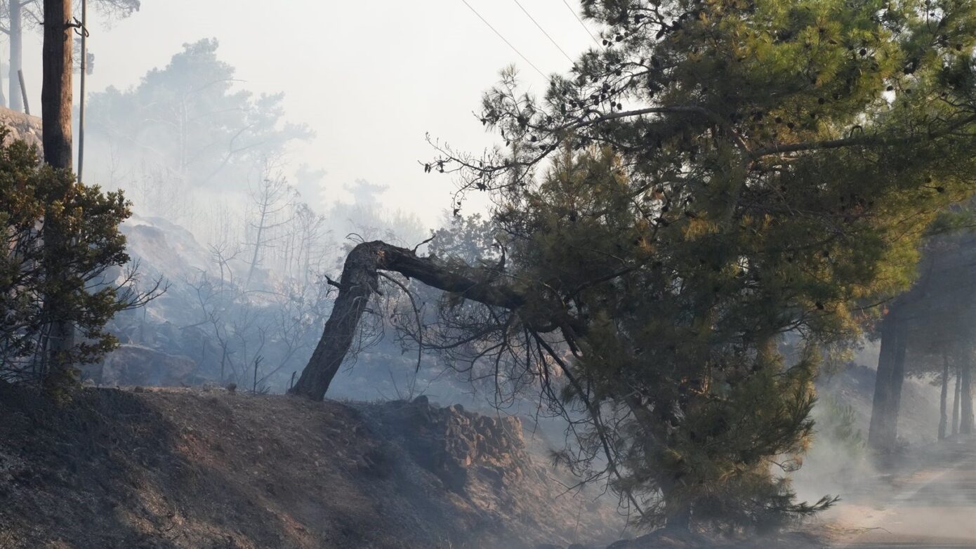 ΚΕΔΕ σε δήμους: Στείλτε επειγόντως στην Χίο πυροσβεστικά οχήματα και κρίσιμο εξοπλισμό πολιτικής προστασίας