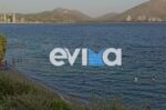 Εύβοια: «Βούτηξα και πάλεψα με τα ρεύματα χωρίς δισταγμό» λέει ο ήρωας αστυνομικός που έσωσε μάνα και κόρη που είχαν παρασυρθεί με φουσκωτό