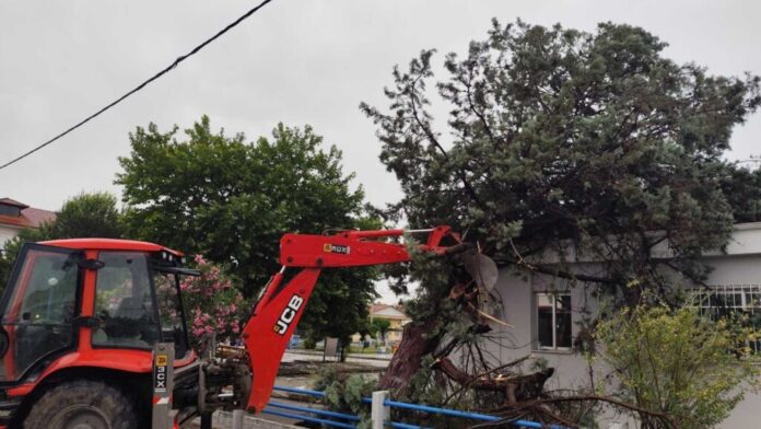 Καταστροφές σε καλλιέργειες από το άγριο μπουρίνι στους δήμους Παλαμά και Σοφάδων