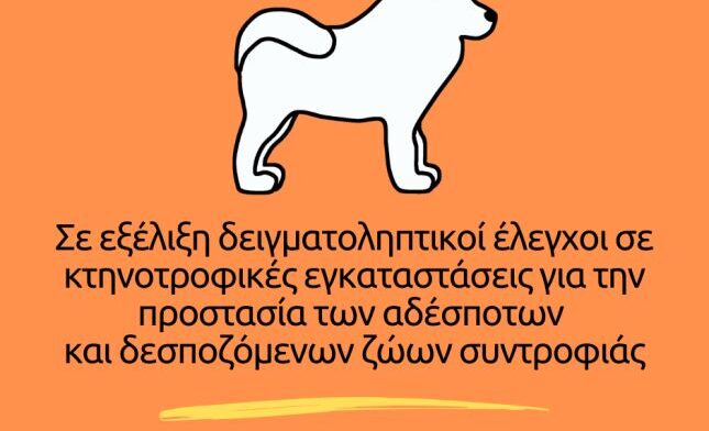 Δήμος Κοζάνης: Σε εξέλιξη εντατικοί έλεγχοι σε κτηνοτροφικές μονάδες