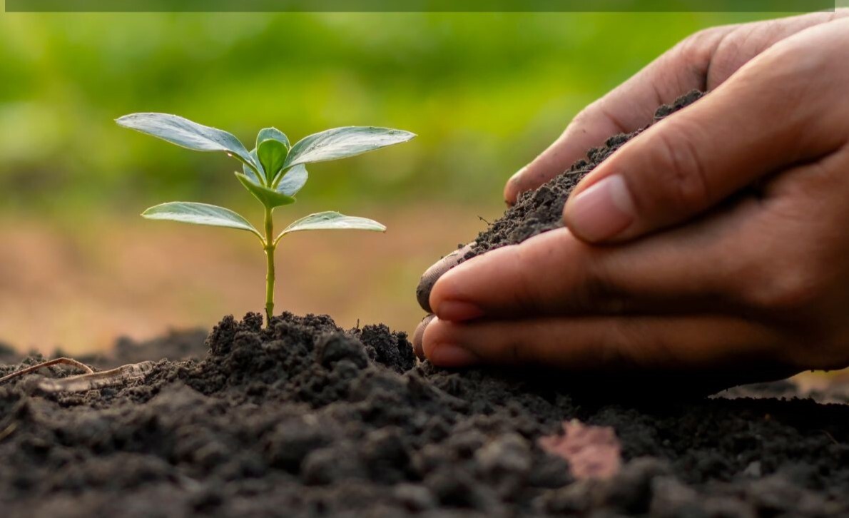 Δ. Αμαρουσίου: Αύριο η Μεγάλη Δενδροφύτευση στο Ιστορικό Πάρκο Αγίου Δημητρίου