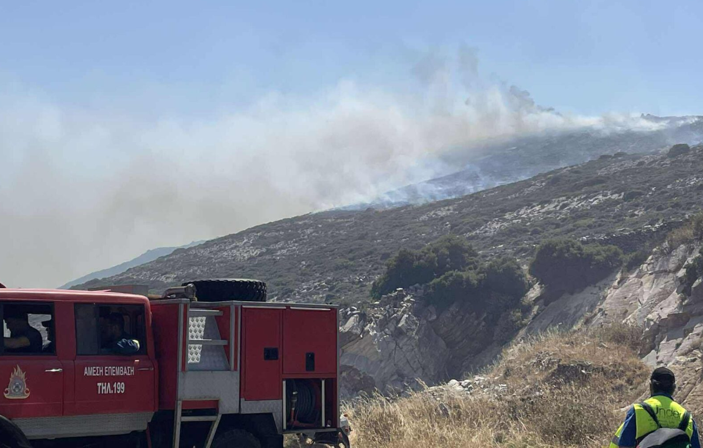 Πυρκαγιά στην Κάρυστο – Ενεργοποιήθηκε το 112
