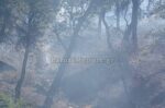 Πυρκαγιά σε απρόσιτη περιοχή στα Δερβενοχώρια