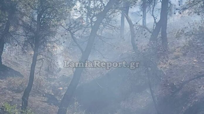 Πυρκαγιά σε απρόσιτη περιοχή στα Δερβενοχώρια