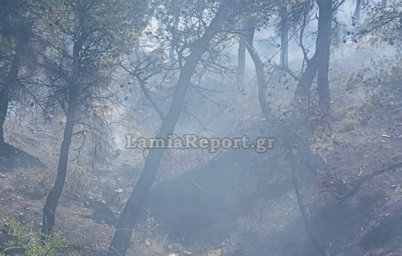 Πυρκαγιά σε απρόσιτη περιοχή στα Δερβενοχώρια