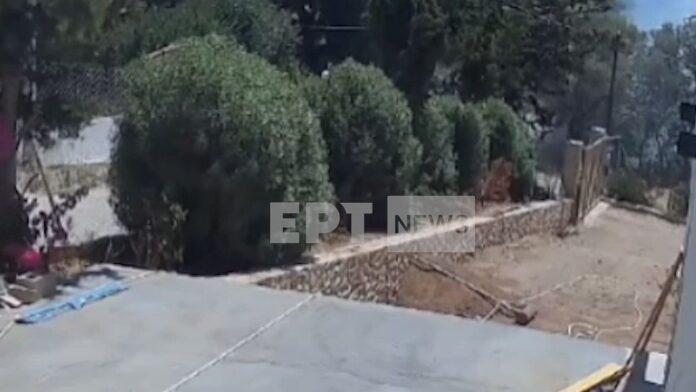 Πώς ξέσπασε η καταστροφική φωτιά στην Παλαιά Φώκαια – Βίντεο ντοκουμέντο