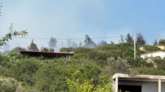 Φωτιά μαίνεται στη Θεσσαλονίκη πίσω από το νοσοκομείο Παπαγεωργίου – Ήχησε το 112, κινδυνεύουν κατοικίες
