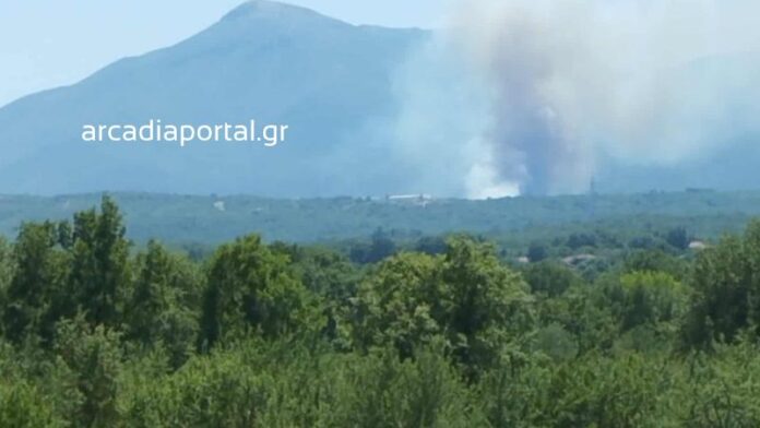 Φωτιά στην Αρκαδία – Μάχη με εναέρια μέσα