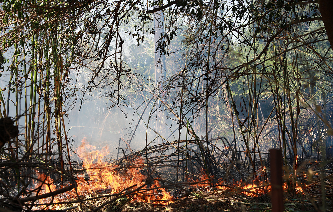 Φωτιά στη Μονεμβασιά – Μάχη από αέρος