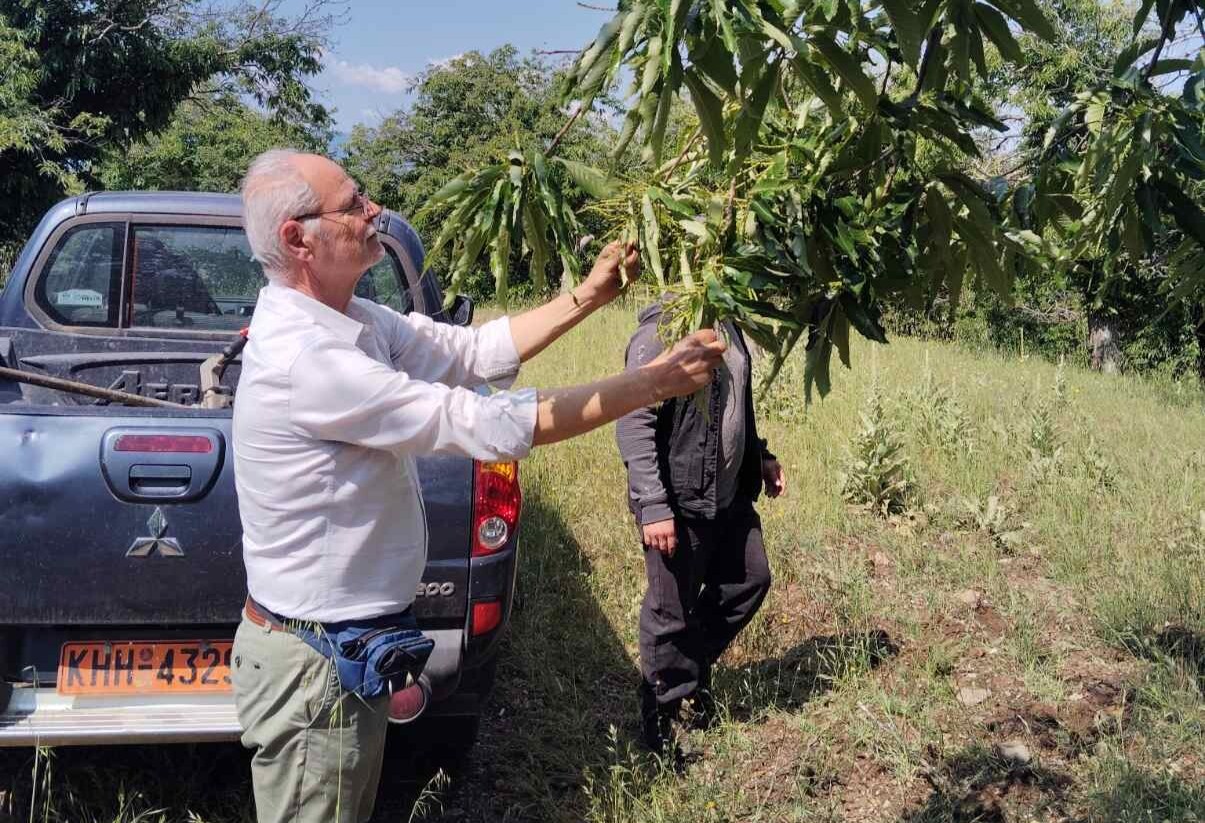 Επιτόπια Έρευνα Κλιμακίου ΕΛΓΑ για καταστροφές στον Δήμο Σπάρτης