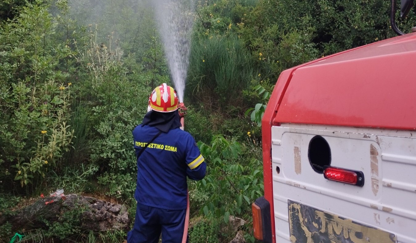 Εντυπωσιακή η επιχείρηση προσομοίωσης δασικής πυρκαγιάς στον Δήμο Σπάρτης