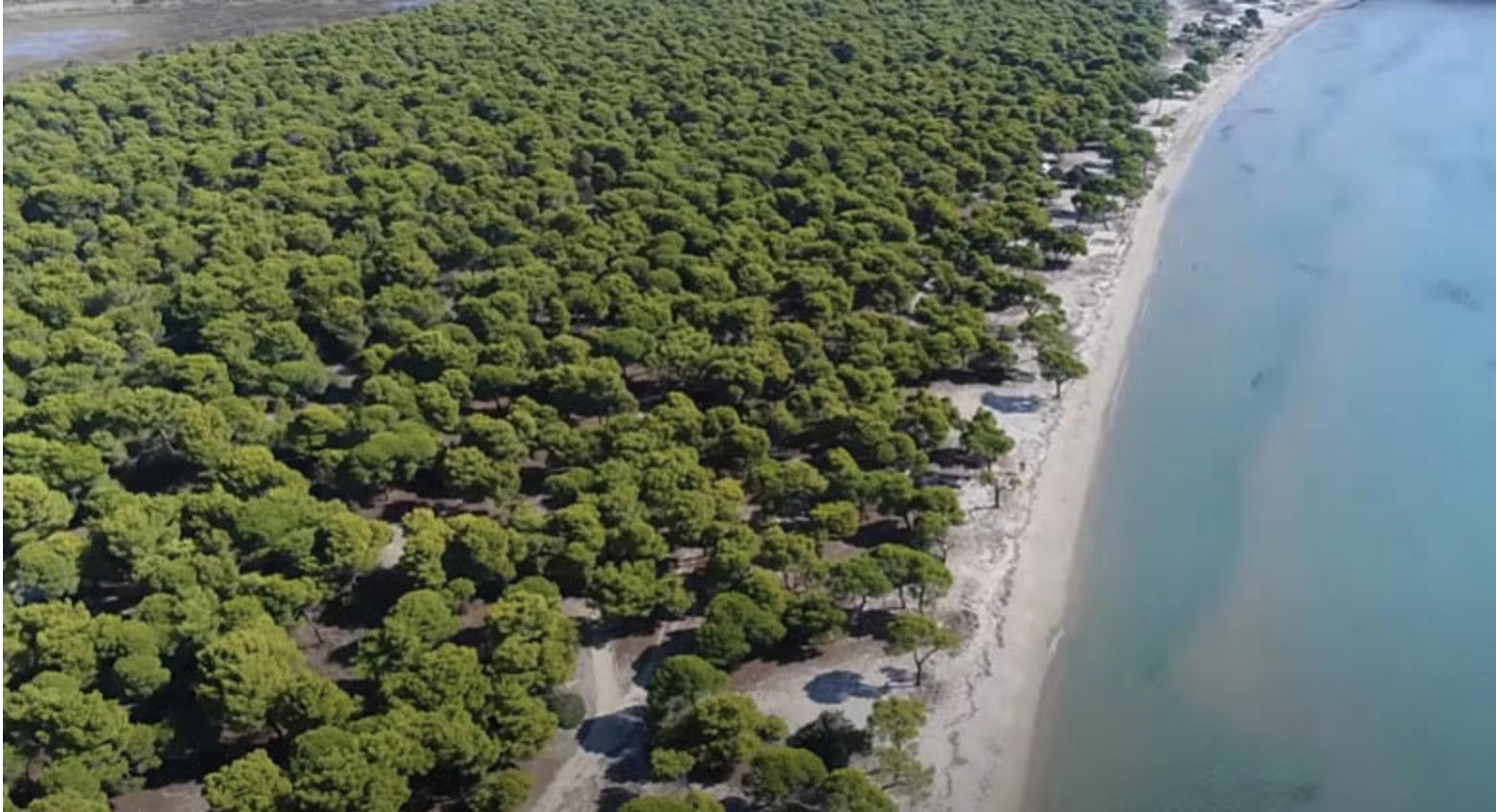 Σχινιάς: Τα τροχόσπιτα μεταμορφώθηκαν σε πολυτελείς βίλες προς ενοικίαση