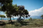 Εισαγγελική έρευνα ξεκινά για τα παράνομα bungalows στο προστατευόμενο πάρκο του Σχινιά