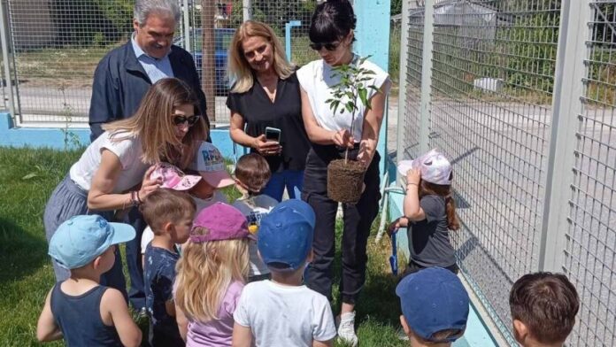 Μαζικές δενδροφυτεύσεις σε όλα τα σχολικά προαύλια του Δήμου Βόλβης
