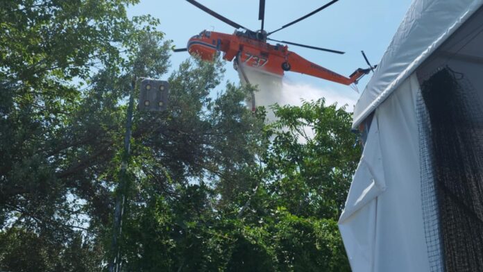 Δ. Βριλησσίων: Αστραπιαία επέμβαση για κατάσβεση φωτιάς σε οικόπεδο της Σισμανογλείου