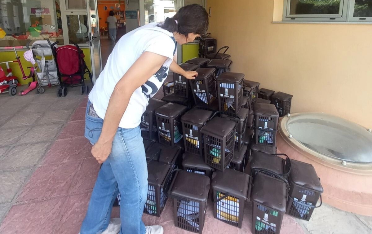 Περιβαλλοντική εκπαίδευση στους παιδικούς σταθμούς του Δήμου Βριλησσίων