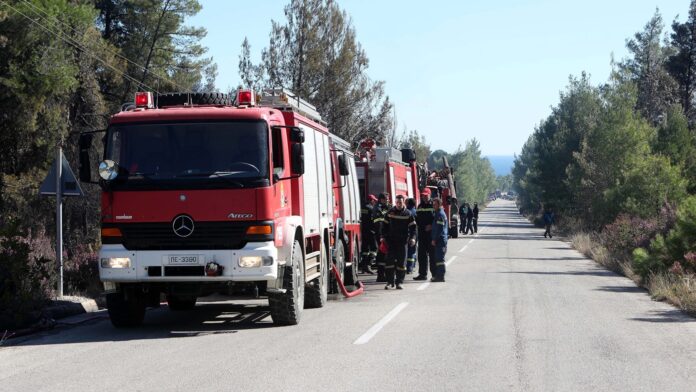 Νέα απαγόρευση κίνησης την Κυριακή σε δασικές περιοχές της Χαλκιδικής λόγω έντονου κινδύνου εκδήλωσης πυρκαγιάς