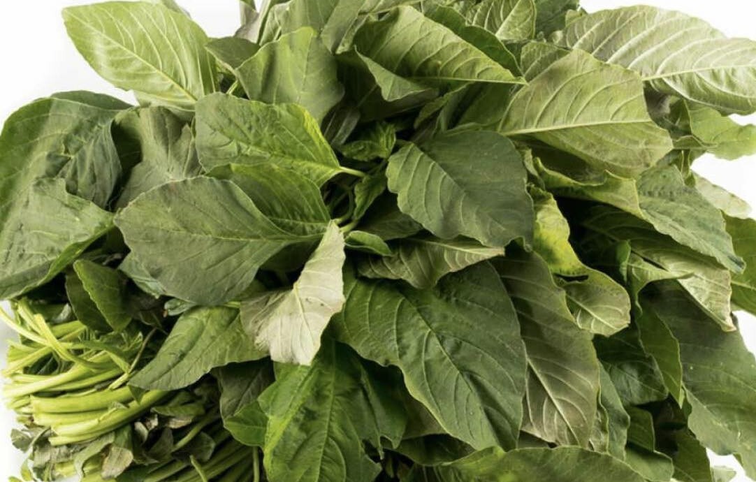 ΠΝΑ: Συναγερμός για κρούσματα τροφικής δηλητηρίασης από άγρια χορταρικά