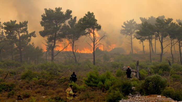Πυρκαγιά μαίνεται στο Ωραιόκαστρο Θεσσαλονίκης