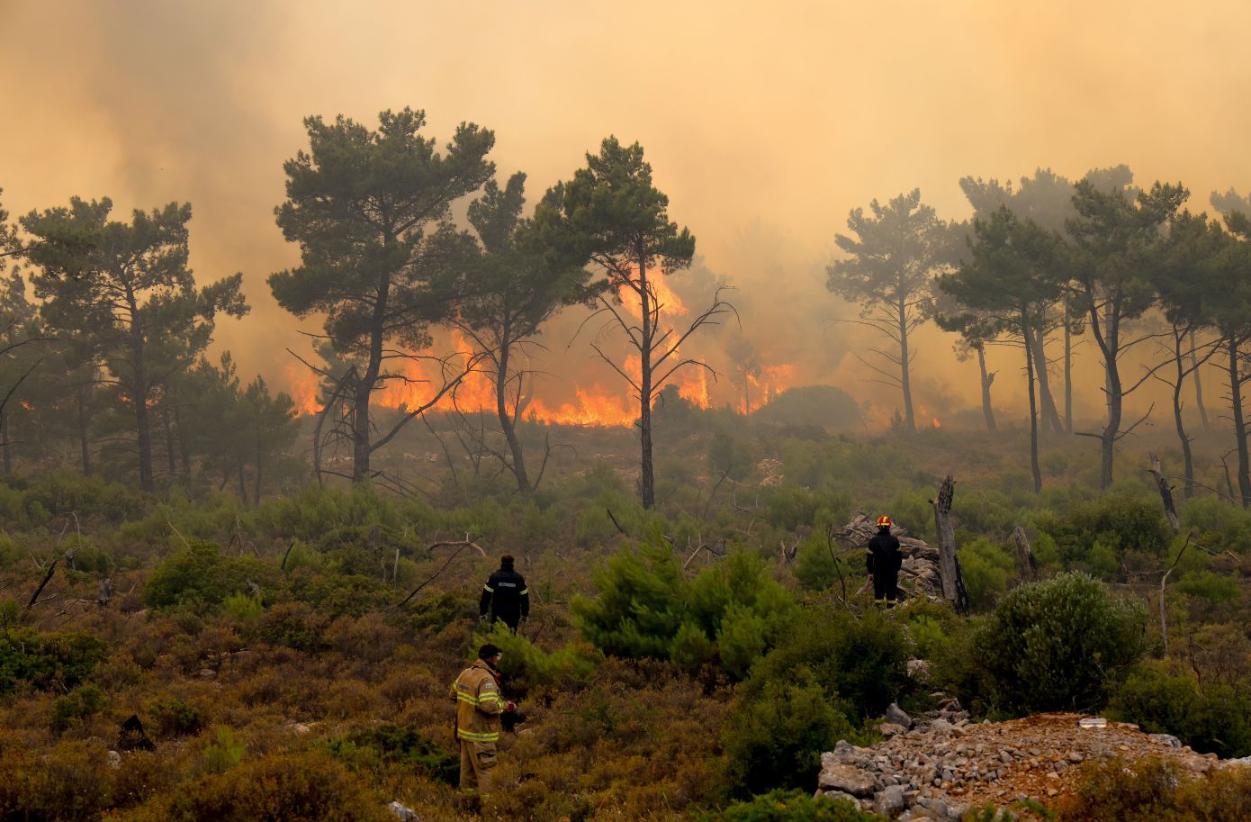 Πυρκαγιά μαίνεται στο Ωραιόκαστρο Θεσσαλονίκης