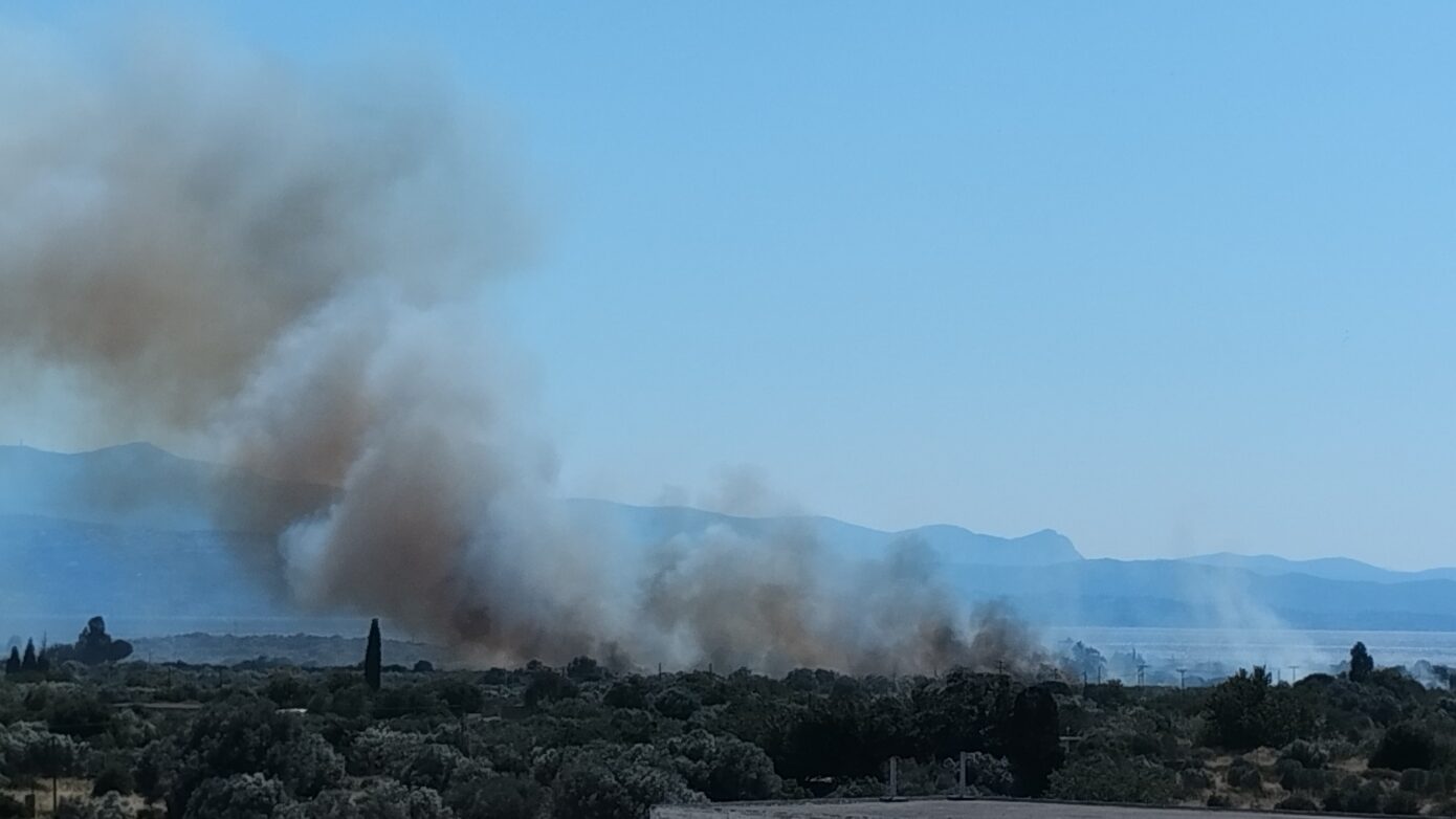 Η φωτιά στο Αλιβέρι τέθηκε υπό έλεγχο – Συνελήφθη άνδρας για εργασίες