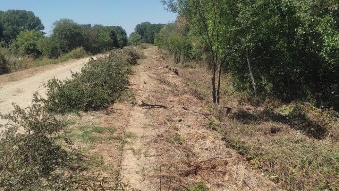 Αναβάθμιση της πυροπροστασίας στο Τρίγωνο του Δήμου Ορεστιάδας
