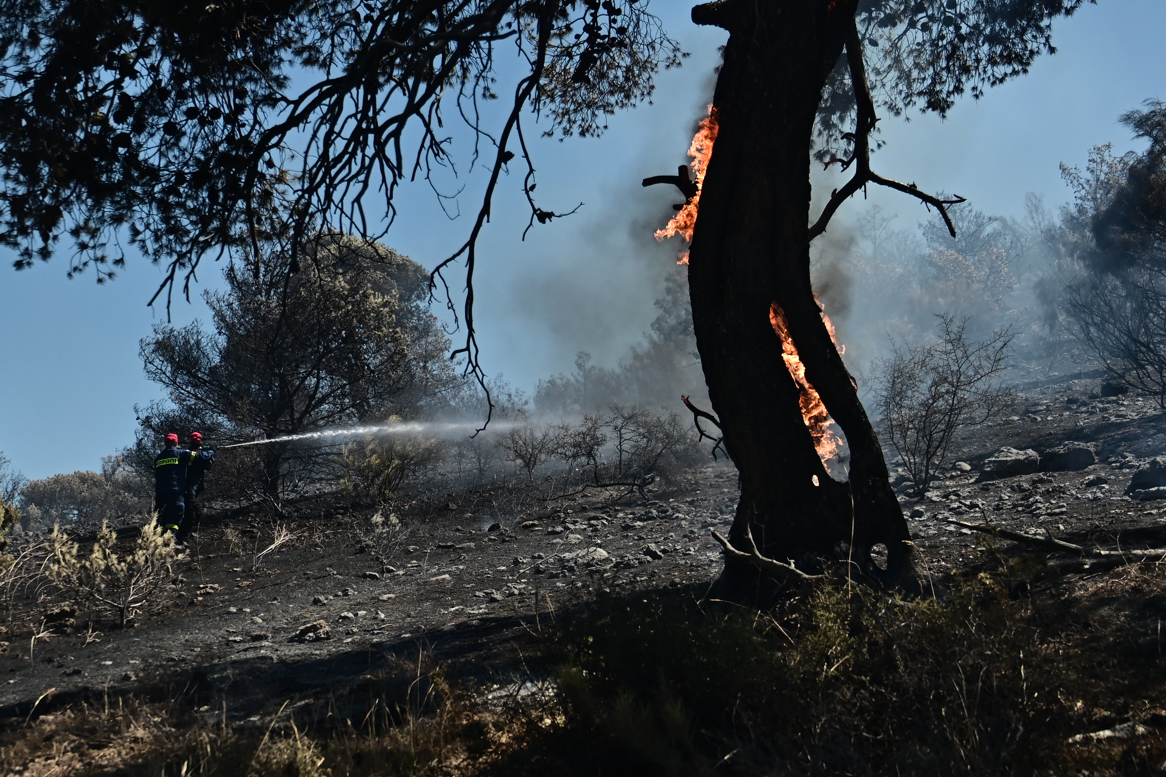 Υπό έλεγχο η φωτιά στο Κορωπί – Σε επιφυλακή για την αντιμετώπιση νέων εστιών η πυροσβεστική