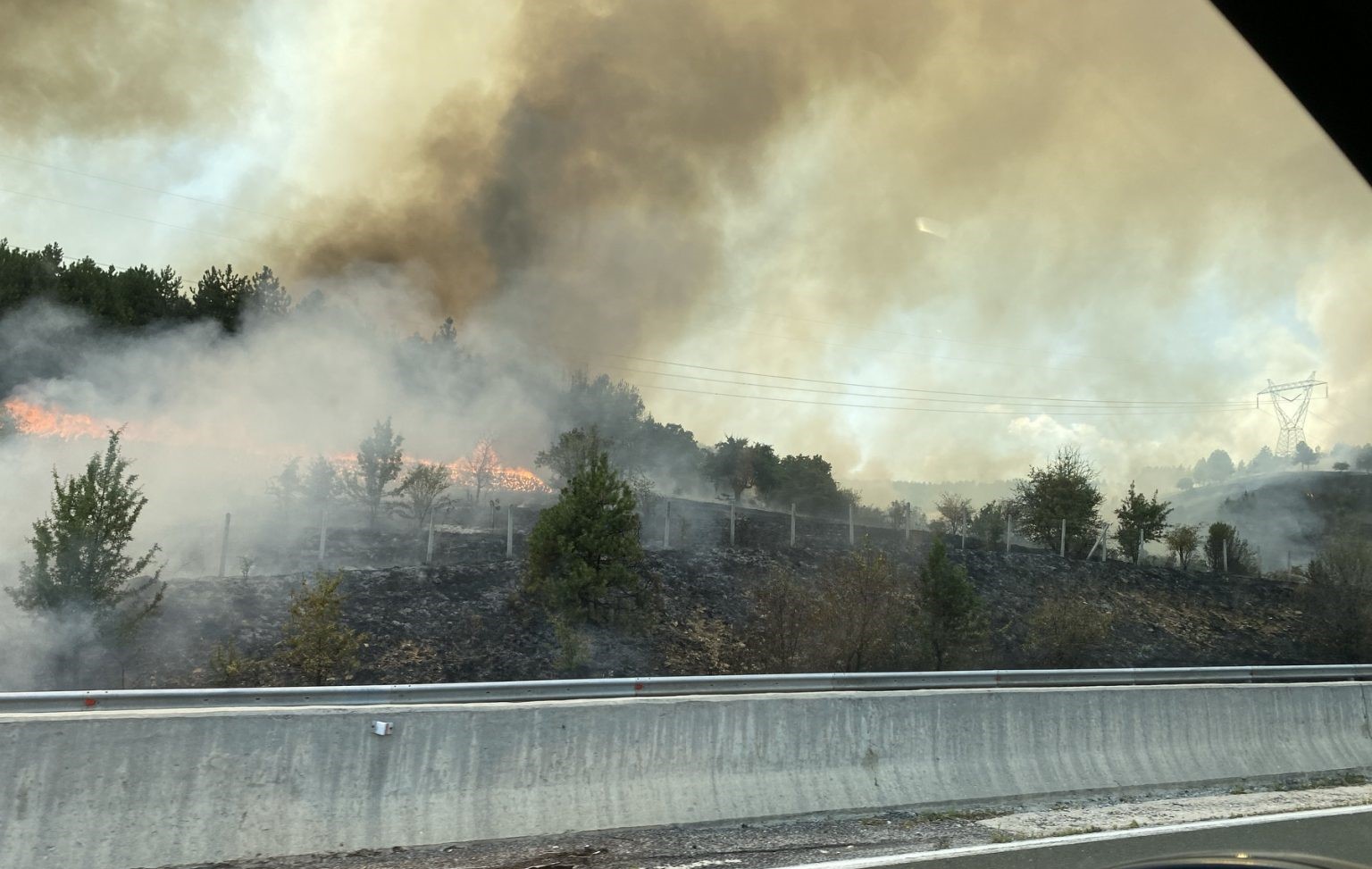 Φλέγονται τα “ενεργειακά φιλέτα”! Δασική πυρκαγιά στον άξονα Κοζάνης-Πτολεμαΐδας