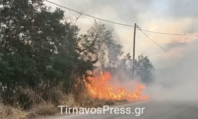 Πυρκαγιά στον Τύρναβο πλησίον κατοικημένης ζώνης