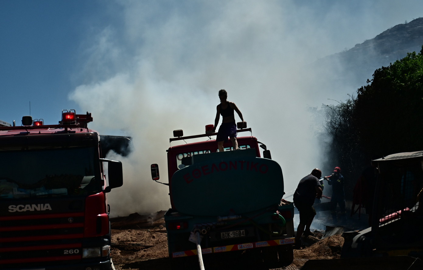 Φωτιά στο Κορωπί: Επείγουσα έκκληση από φιλοζωικές για διάσωση ζώων