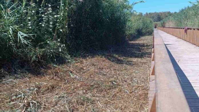 Δ. Πατρέων: Κατασκευή πυροπροστατευτικής ζώνης στο Έλος της Αγυιάς