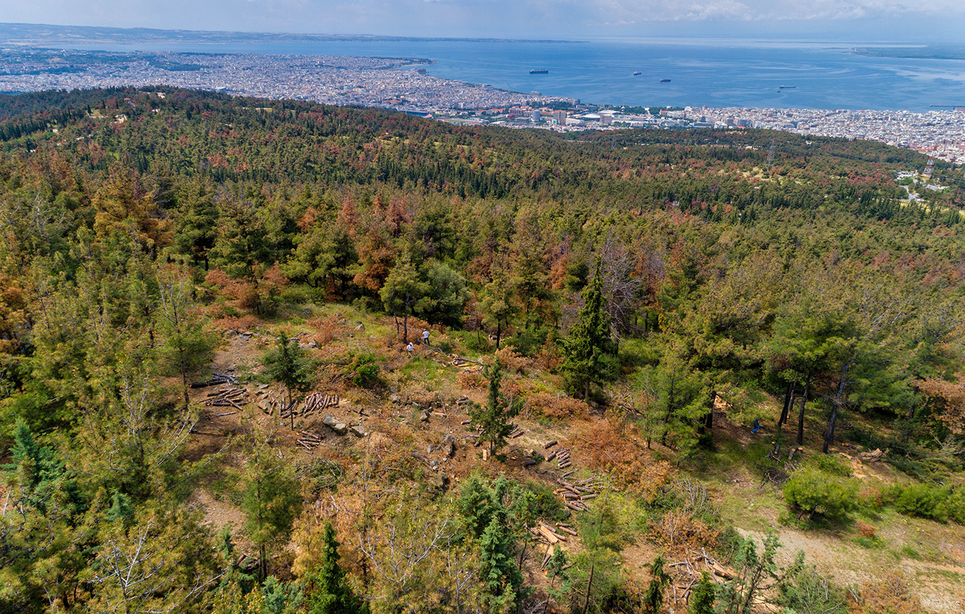 Επεκτείνεται μέχρι την Παρασκευή η απαγόρευση πρόσβασης στο περιαστικό δάσος της Θεσσαλονίκης