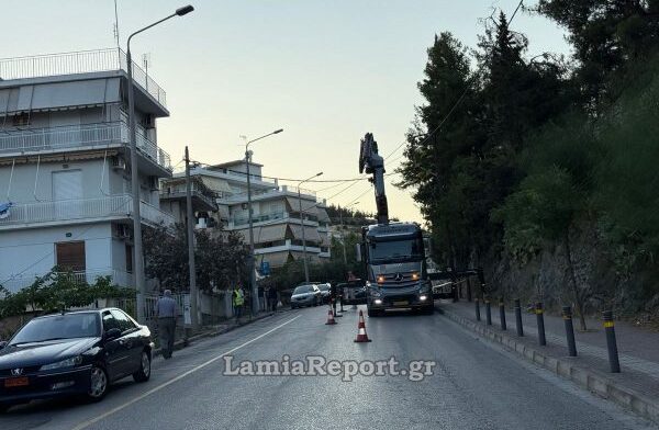 Ισχυροί άνεμοι κατέστρεψαν δέντρα στη Λαμία – Δράση του Δήμου για την απομάκρυνση τους