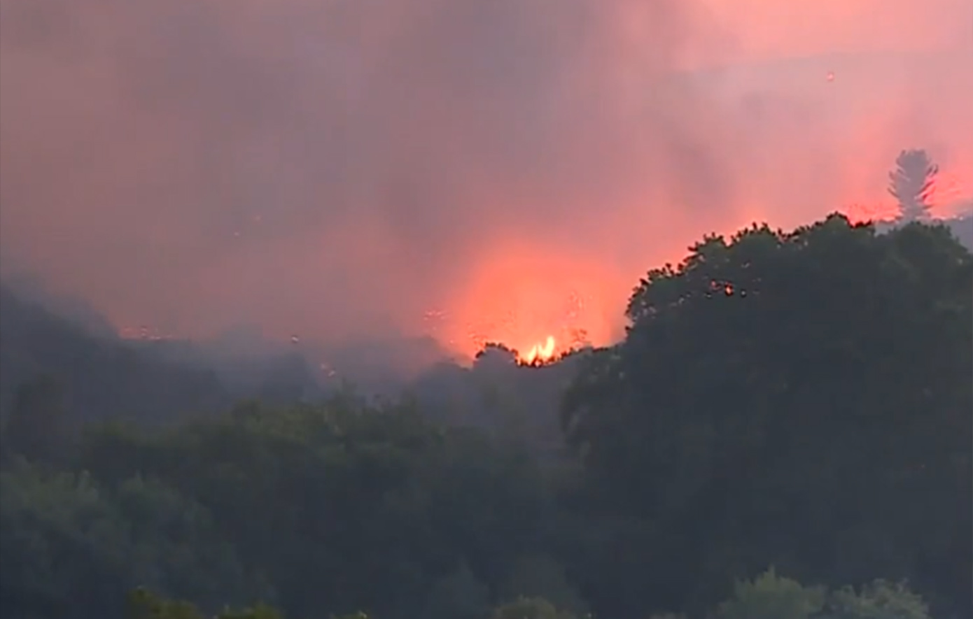 Συνελήφθη άνδρας για την καταστροφική πυρκαγιά στην Εύβοια – Χρησιμοποιούσε χορτοκοπτικό για εργασίες
