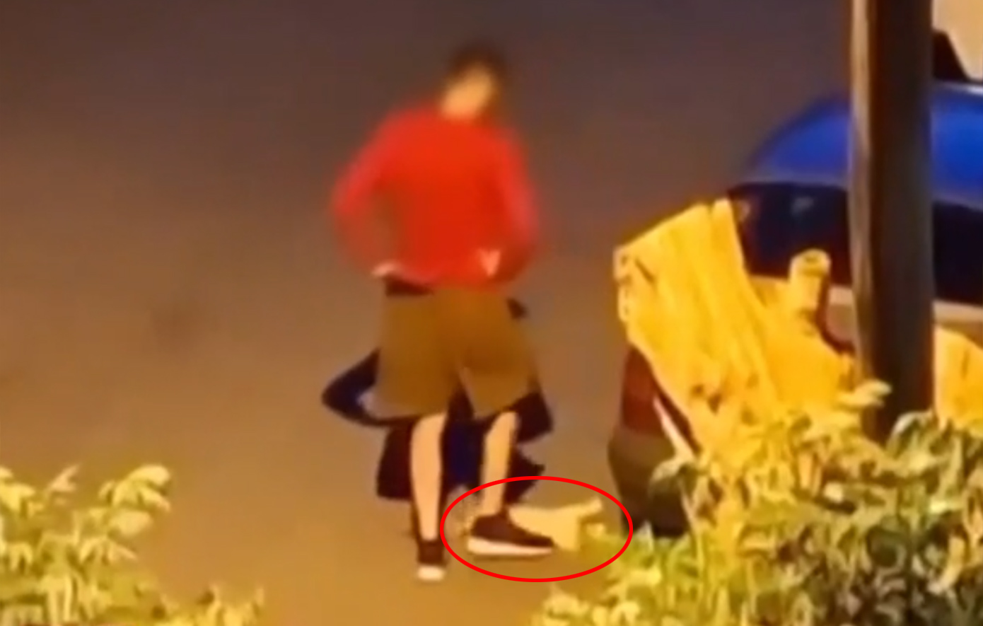 Πρόστιμο 50.000 ευρώ στον 34χρονο που κακοποίησε και θανάτωσε γατάκι στην Καλαμαριά